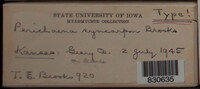 Image Associated With the Occurence